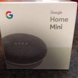 2 google home minis